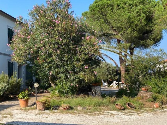 Isola D'Elba Casa Vacanze - Villa Portello - Magnetite - La Casina Rio Marina Exterior foto